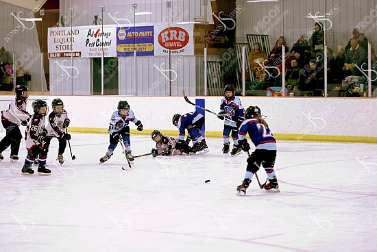 Mites - MayPort Ice Dawgs vs Northwood Ice Storm 2026-2-7